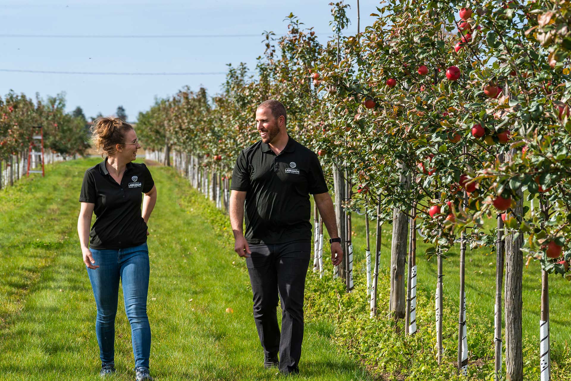 Apple picking Domaine Labranche