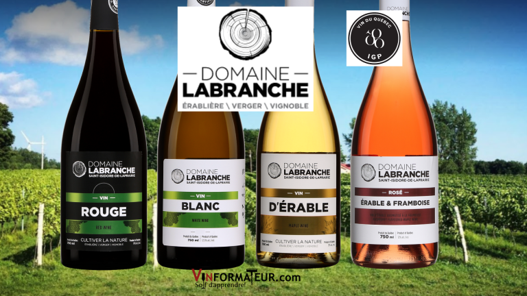 Bouteilles vinformateur - Domaine Labranche