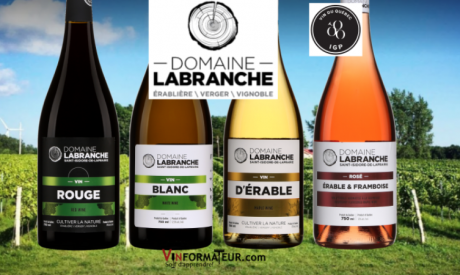 Vinformateur bouteilles DLB - Domaine Labranche